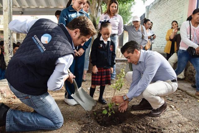 Van 12 mil árboles plantados del programa Corregidora Reforesta Contigo