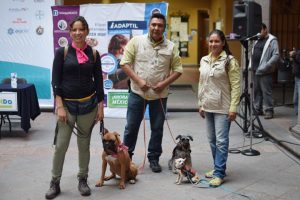 El parque Bicentenario será la sede de la primera carrera canina del municipio de Querétaro, denominada P-RUN, será el 28 de julio