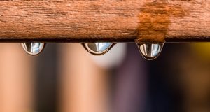 Querétaro, entre los 10 estados más próximos a quedarse sin agua en México