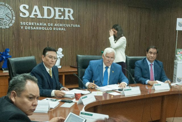 Segalmex Sin licitación, Segalmex otorga contratos firmados