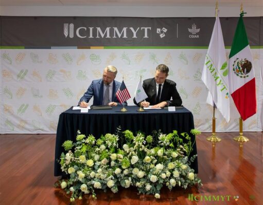 Gobierno de Trump destinará 40 mdd en el mejoramiento del maíz en México