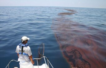 Nahle minimiza derrame de crudo en el Golfo de México; niega muerte de especies marinas