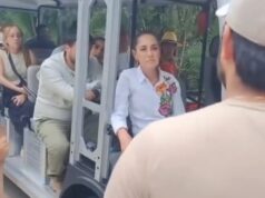 “Hay que gobernar con sentido común”: ¿por qué Sheinbaum reprochó al titular de Conanp?