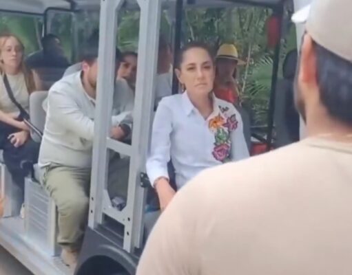 “Hay que gobernar con sentido común”: ¿por qué Sheinbaum reprochó al titular de Conanp?